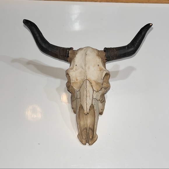 Western decor long horns paper weight DECOR looks great on any Shelf - Picture 1 of 5